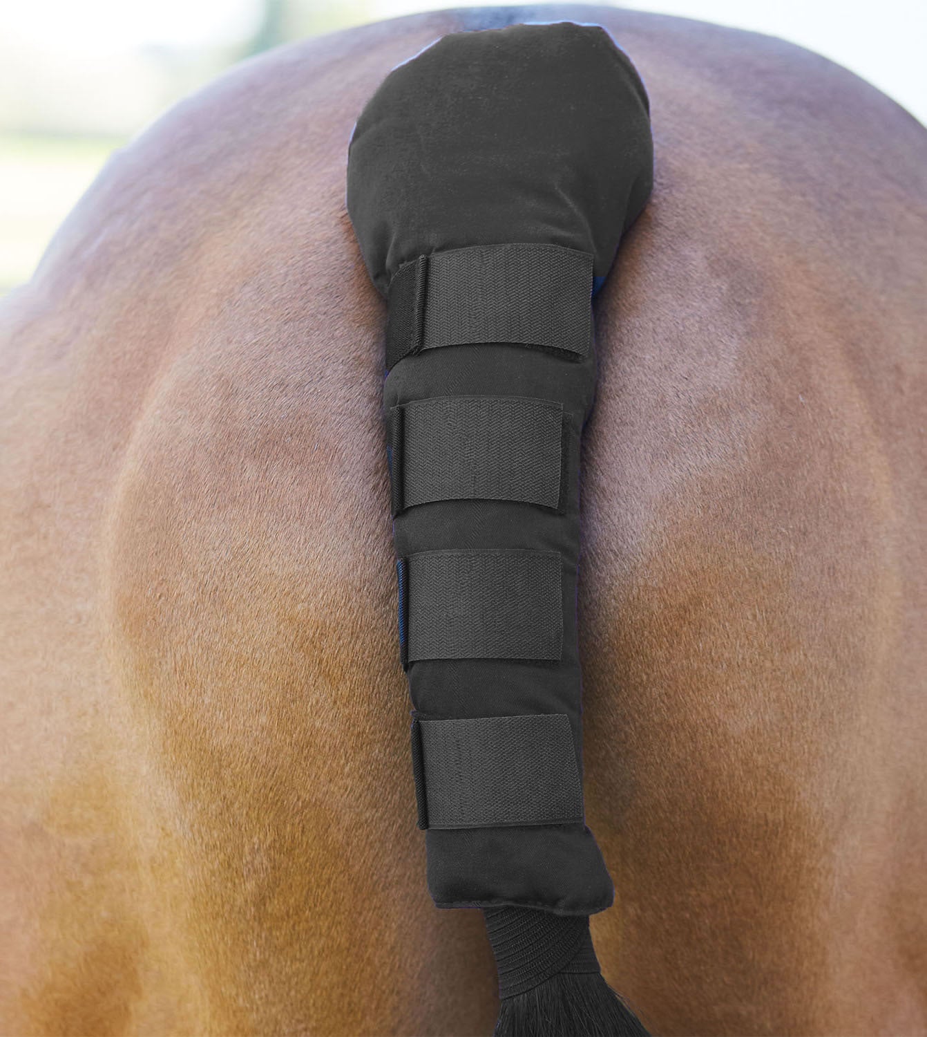 BITZ Padded Tail Gaurd With Velcro