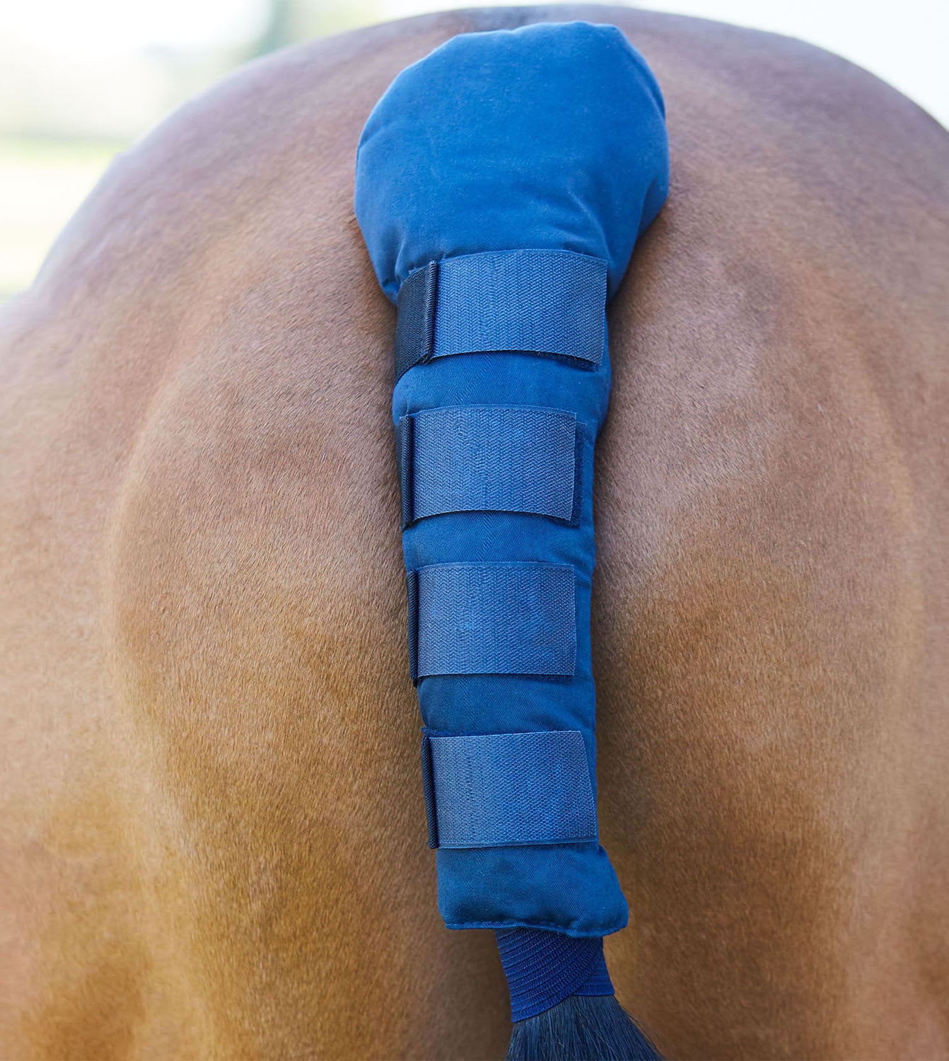BITZ Padded Tail Gaurd With Velcro