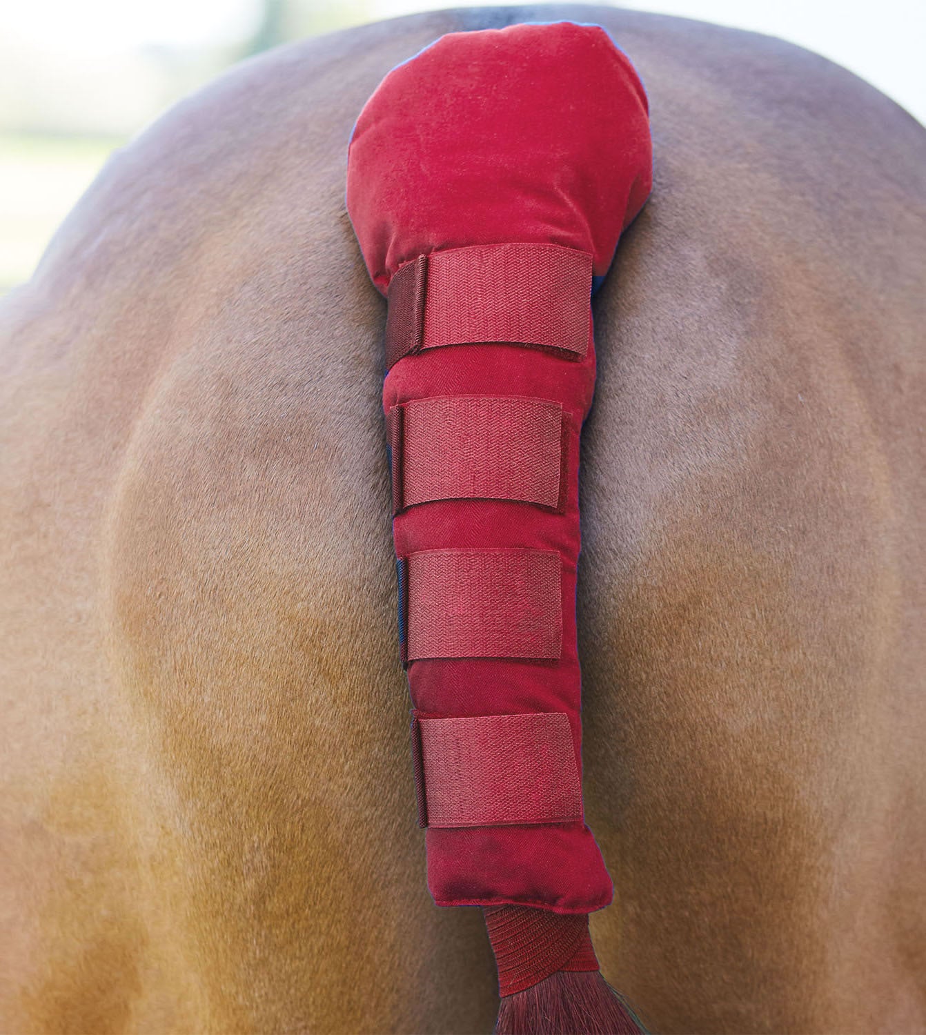BITZ Padded Tail Gaurd With Velcro