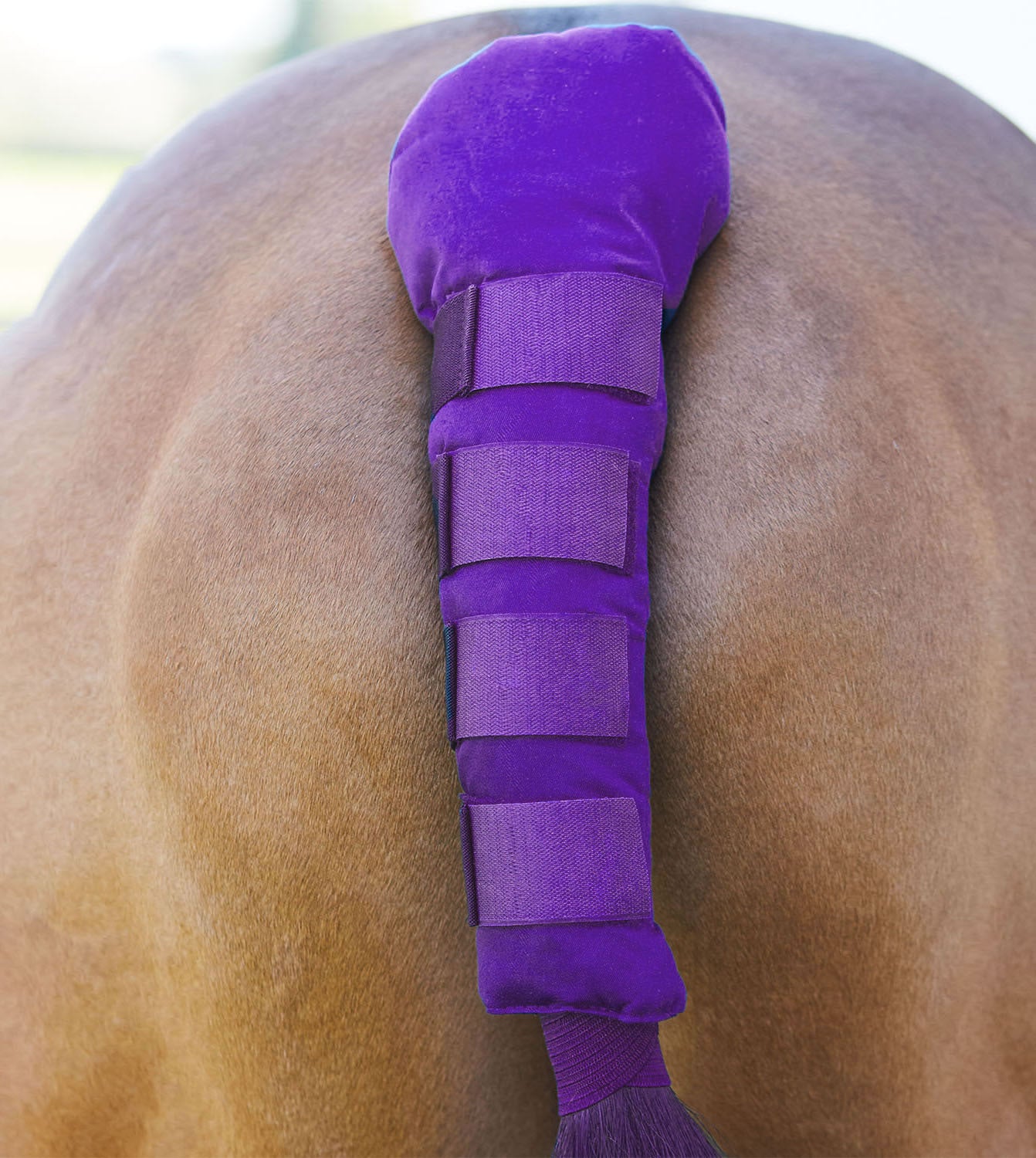 BITZ Padded Tail Gaurd With Velcro