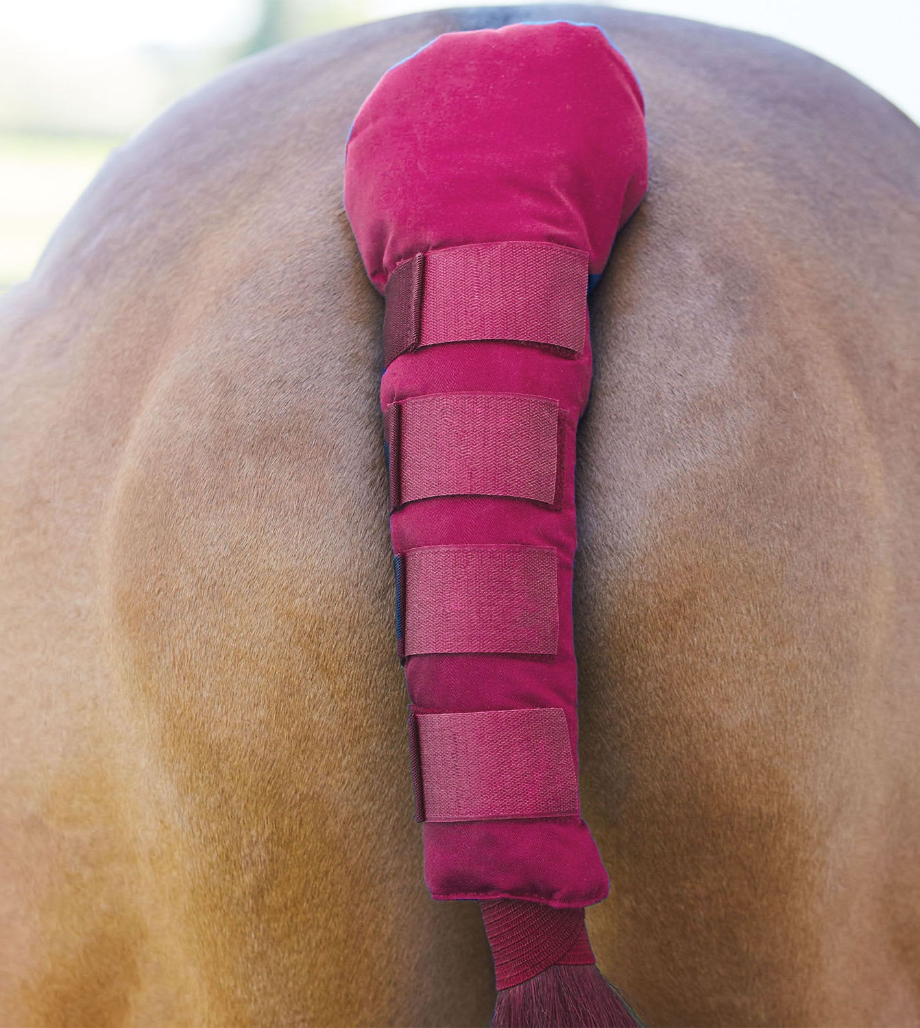 BITZ Padded Tail Gaurd With Velcro