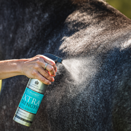 Carr & Day & Martin Extra Strength Insect Repellent