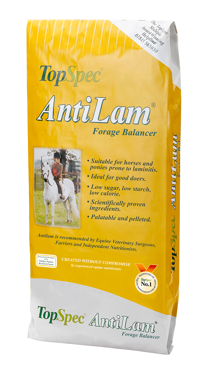 Topspec Anti Lam