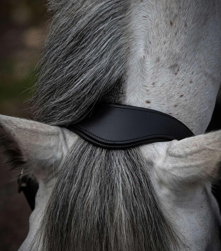 Premier Equine Hennaroso Rolled Anatomic Leather Head Collar