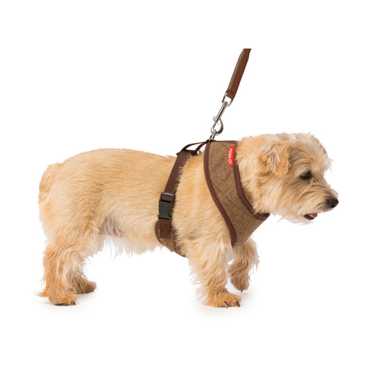 House of Paws Memory Foam Harness