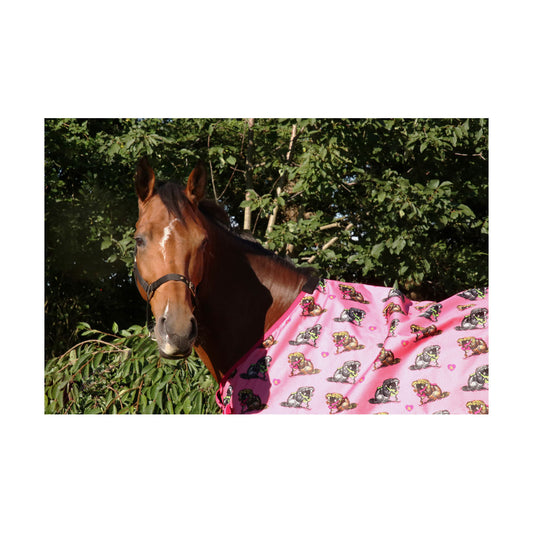 Thelwell Hugs 0g Turnout Rug