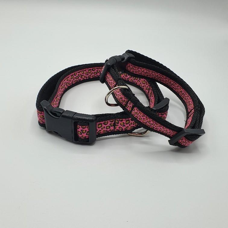Ernie & Theo Flossie Collar and Lead Set